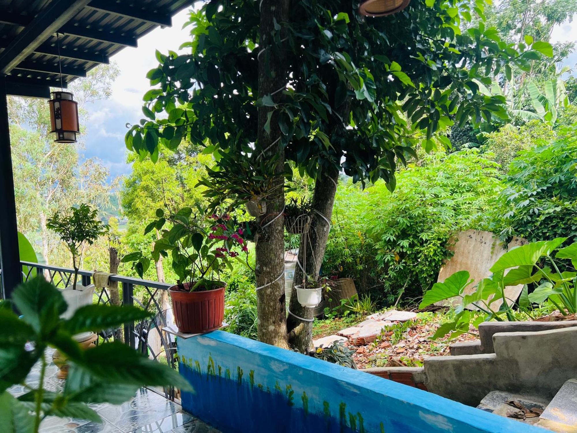 Gio Homestay - פלייקו מראה חיצוני תמונה